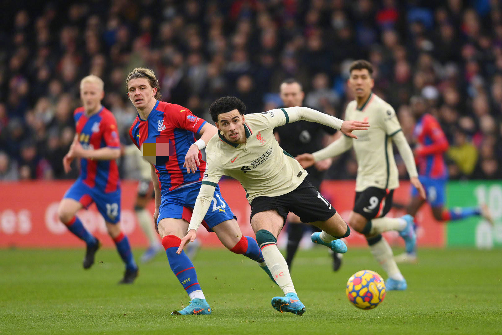 这些潜在成 这些潜在成