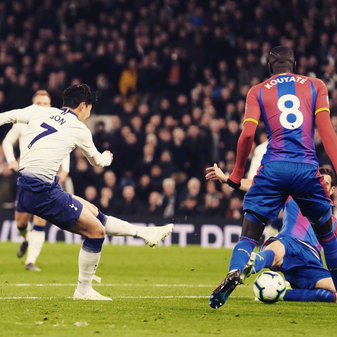 他们的主场 他们的主场