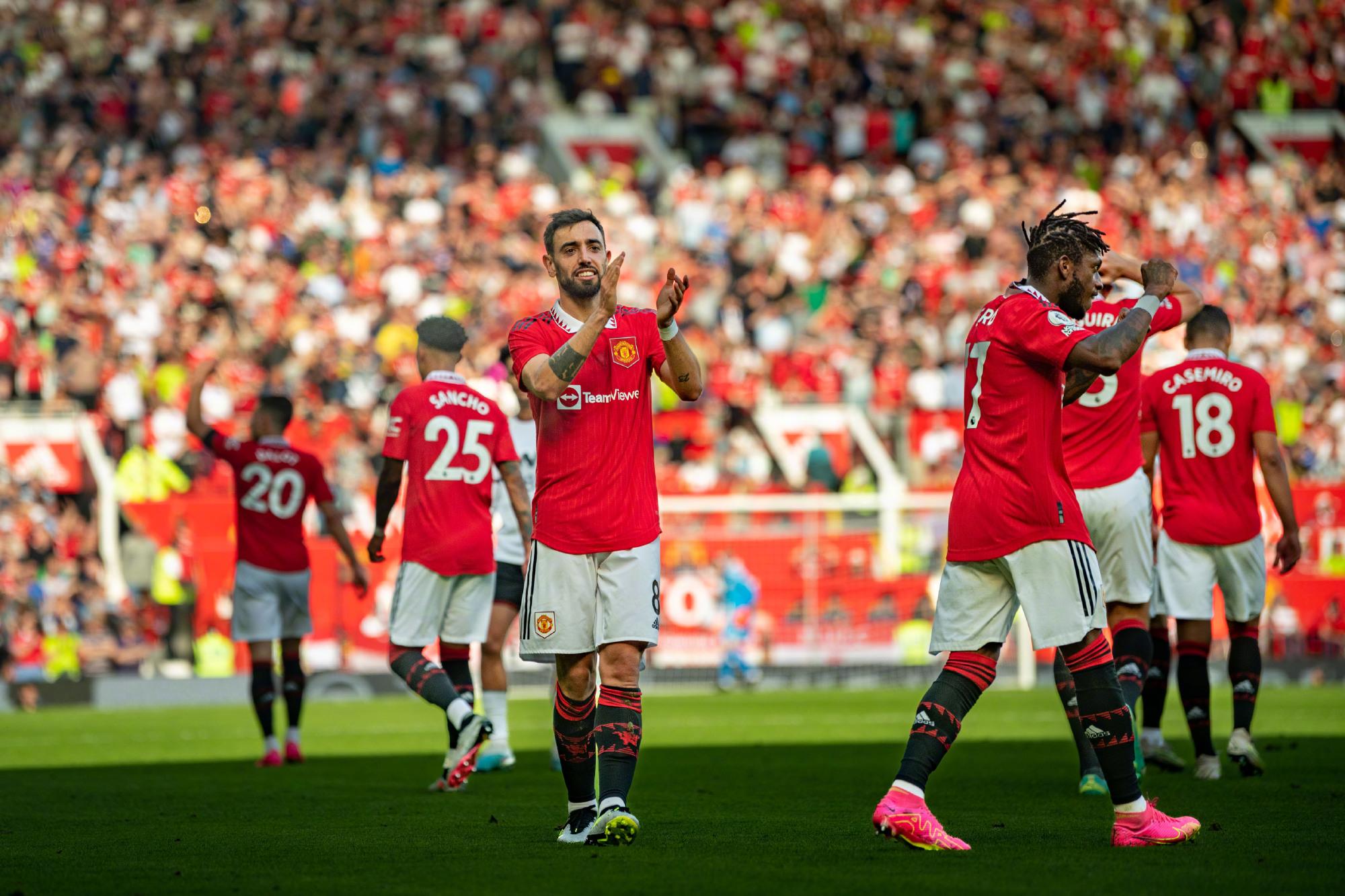 他新机会 他新机会